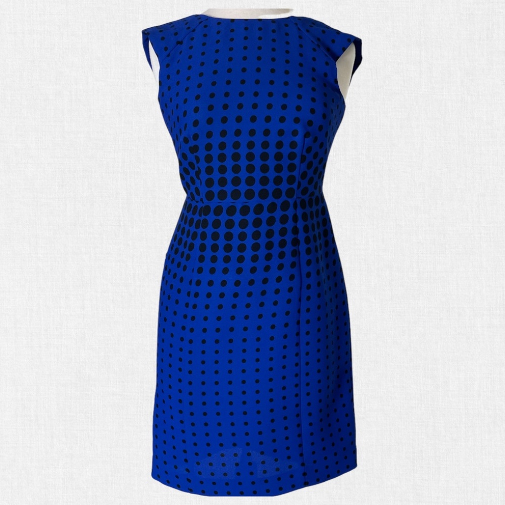 Ann Taylor Cap Sleeve Blue Polka Dot Dress 2P